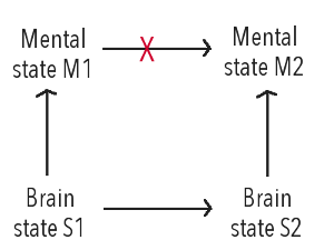 brain-states