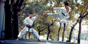Martial arts conflict