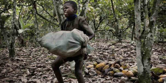 Child labour in West Africa