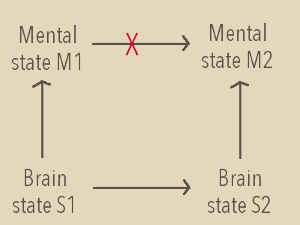 brain-states