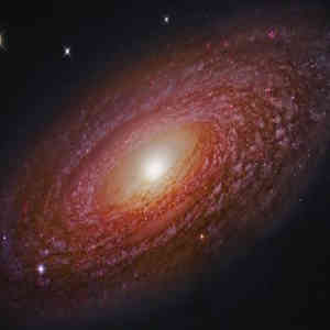 Spiral galaxy